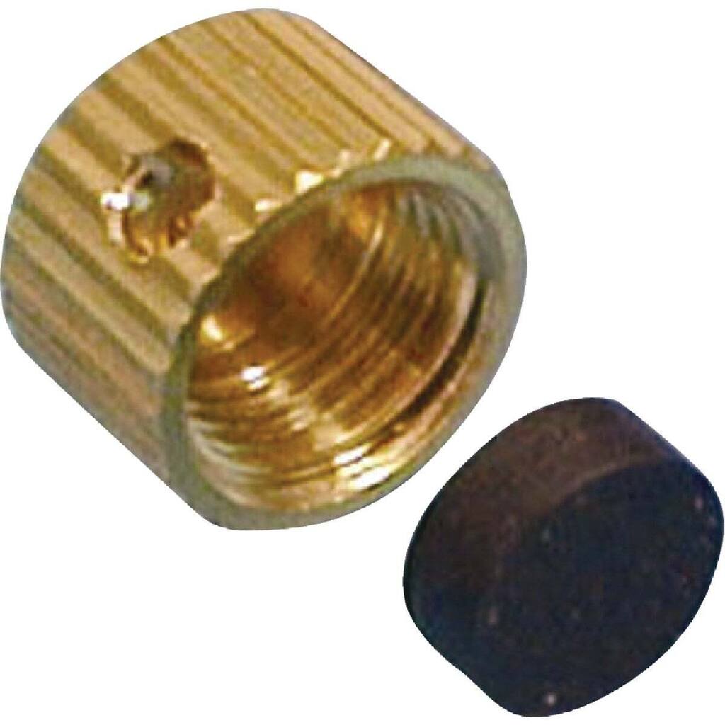 ProLine Large Brass Drain Cap - 1 Each