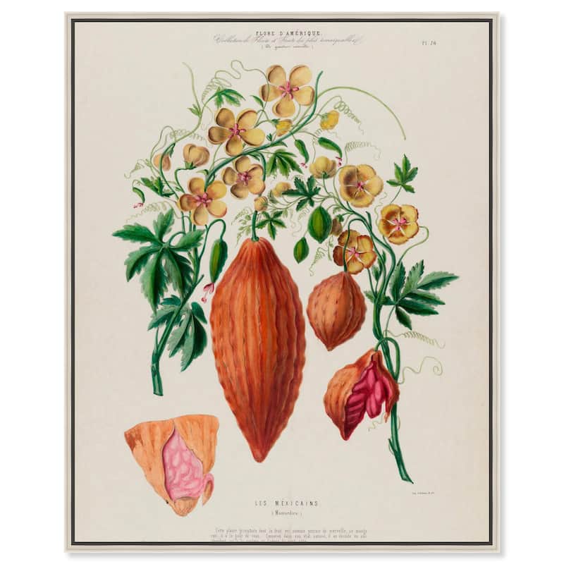 Momordica Exotic Floral Flore Canvas by Art Remedy - Silver - 24" x 30"