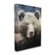 Stupell Grizzly Bear Face Portrait Canvas Wall Art Design by Kim Allen ...