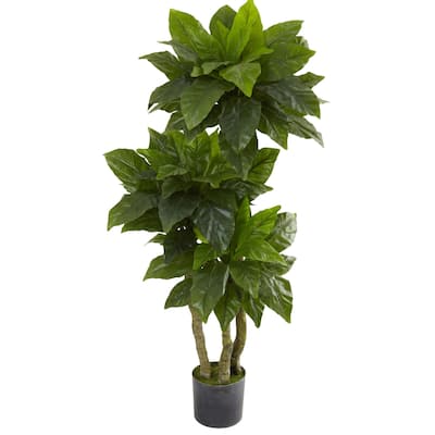 Large Bird Nest Tree Fern 5ft Indoor Outdoor Decor Lush Green Foliage - 5ft.
