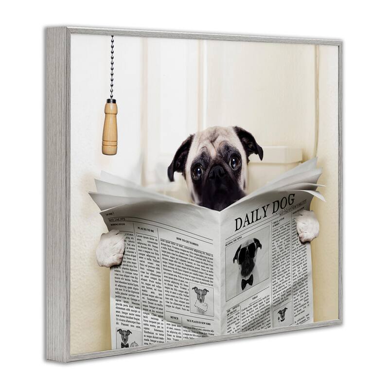 Stupell Pug Reading Newspaper Framed Giclee Art
