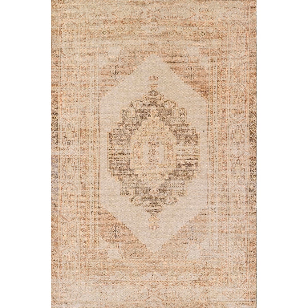 Momeni Chandler Cotton and Polyester Area Rug