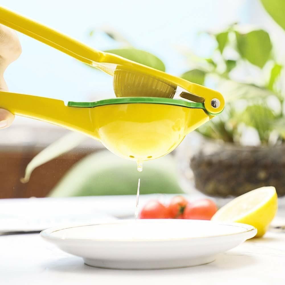 Stainless Steel Lemon Squeezer Bed Bath Beyond 40633170