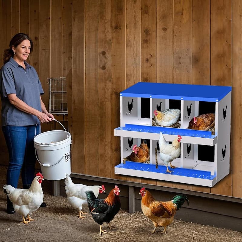 6 Compartment Metal Chicken Nesting Box, Laying Box for Hens Ducks Rabbits, Blue