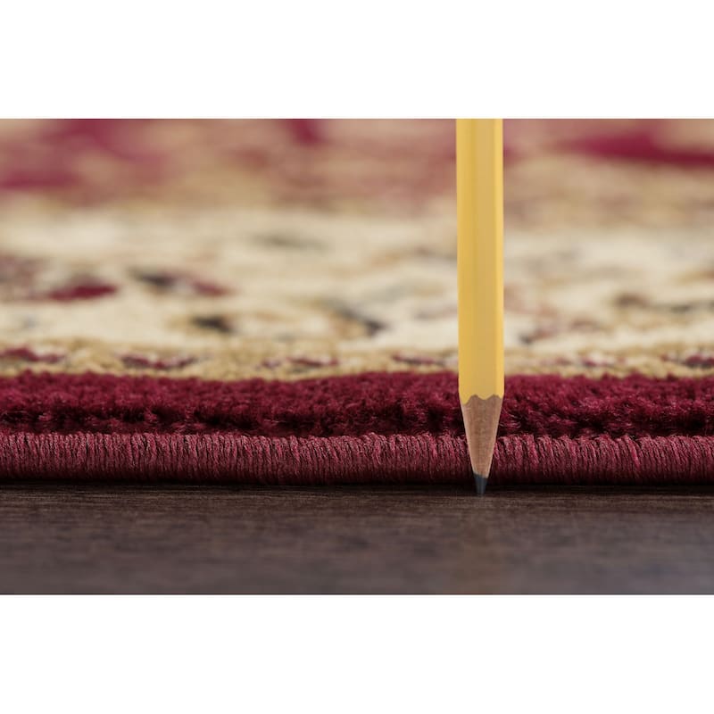 Rhythm Transitional Oriental Indoor Area Rug