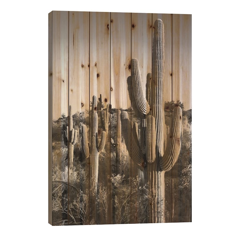 Black Arizona Series - Cactus Sunrise Print On Wood by Philippe Hugonnard - Multi-Color - 26x18x1.5
