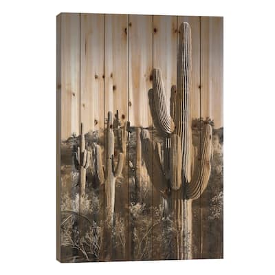 Black Arizona Series - Cactus Sunrise Print On Wood by Philippe Hugonnard - Multi-Color