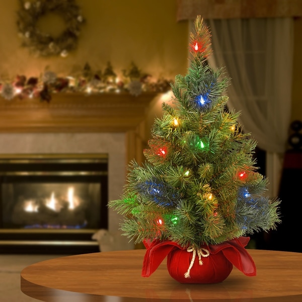National Tree Company 2 ft Majestic Fir Tree with Battery Operated Multicolor LED Lights