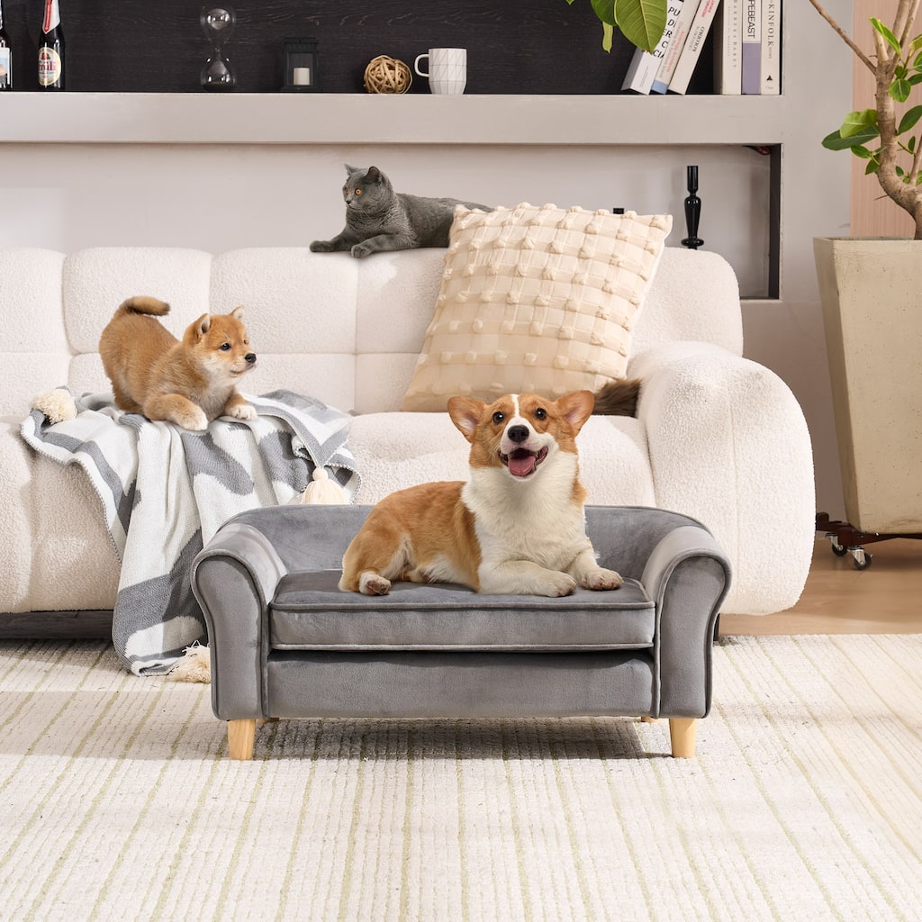 20.67" x 12" x 2.76" Pet Sofa Bed, Grey Velvet Cat Bed and Small Dog Couch with Rubberwood Legs