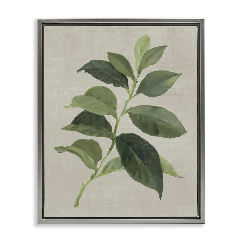 Stupell Arabica Coffee Plant Leaf Framed Floater Canvas Wall Art Design By Lanie Loreth - 25 x 31 - Grey