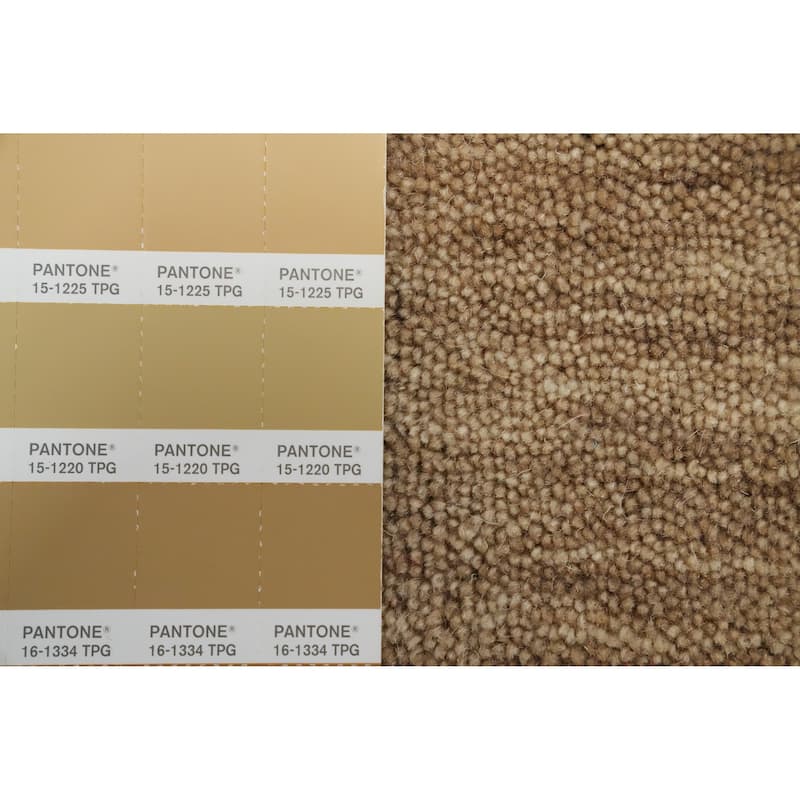 Hand Knotted Oriental 100% Wool Carpet Tribal Animal Pictorial Brown Gabbeh Area Rug - 9' 6'' X 9' 10''