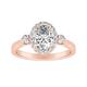 Option Rose
