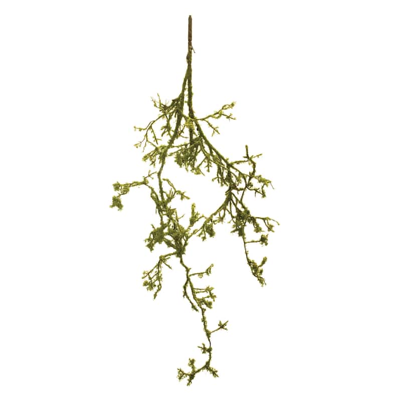 Mossy Twig Branch Vine (Set of 6)