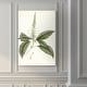 preview thumbnail 7 of 8, Sage Botanical II -Premium Gallery Wrapped Canvas