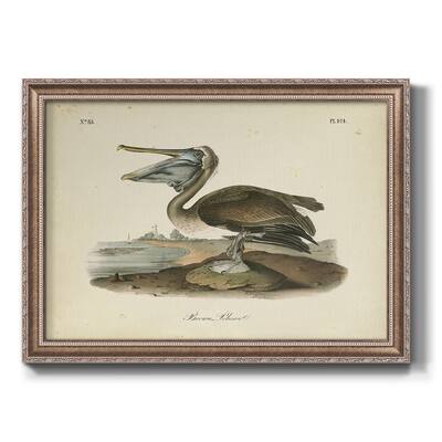 Audubons Brown Pelican Premium Framed Canvas- Ready to Hang