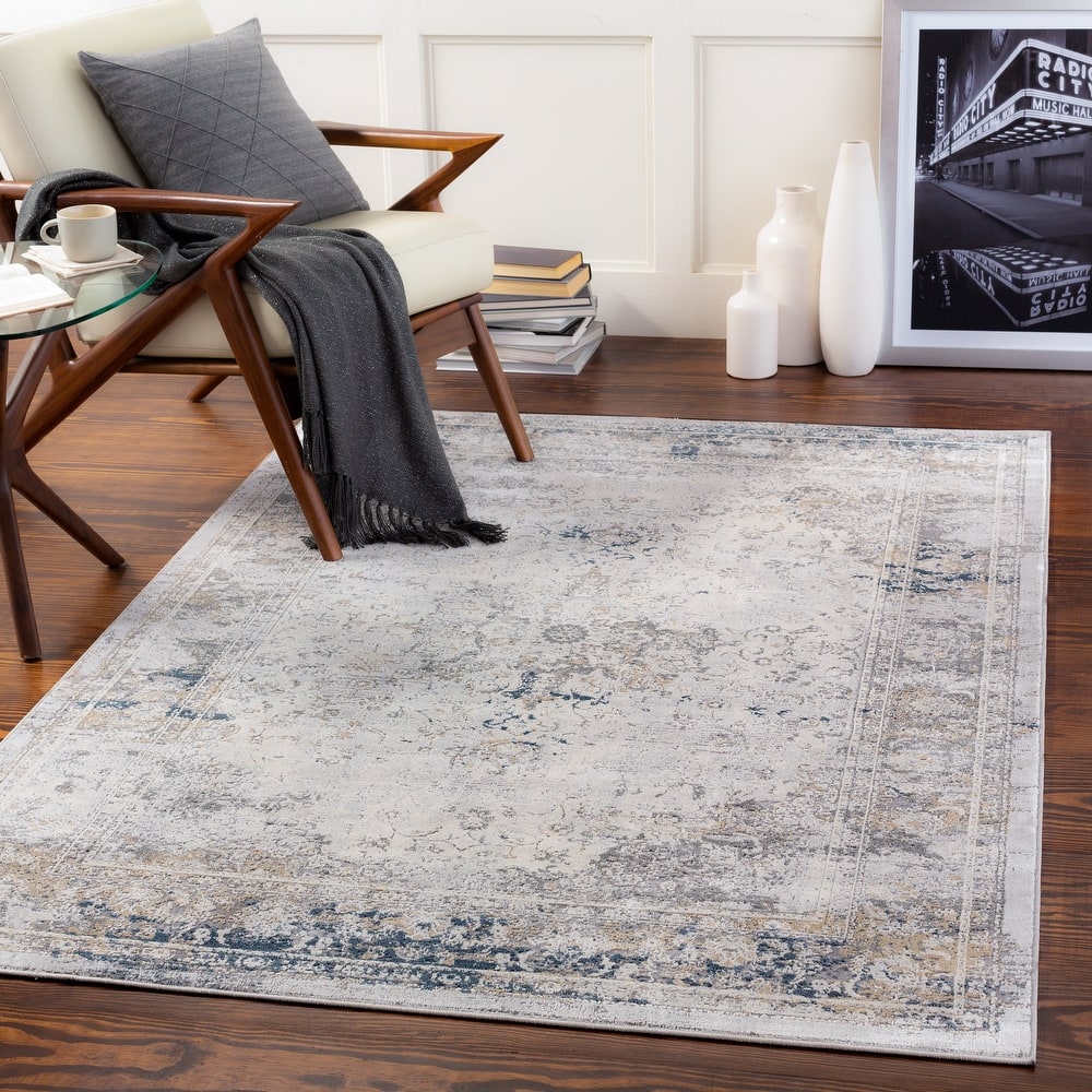 Artistic Weavers Vybbe Distressed Traditional Area Rug