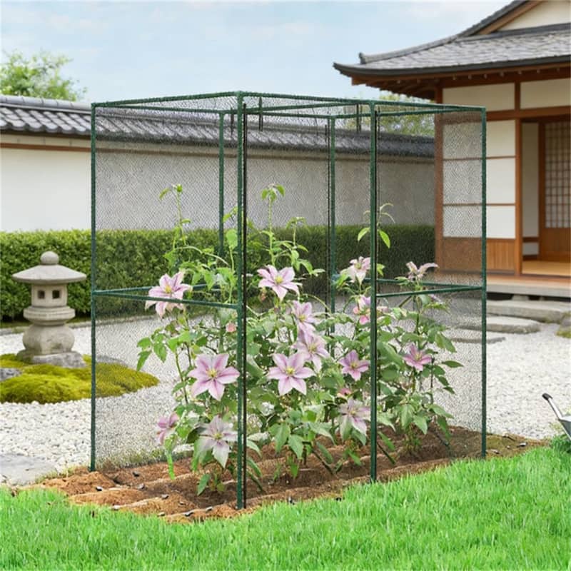 Crop Cage, Planting Cage, Plant Protection Tent - Metal