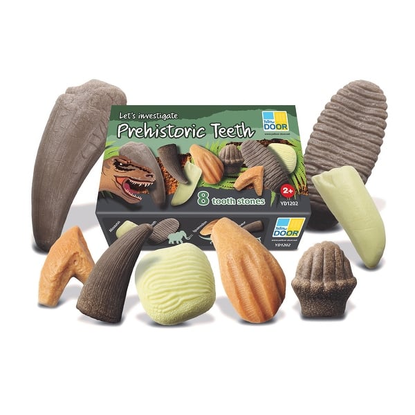 slide 2 of 6, Yellow Door Let's Investigate Prehistoric Teeth, Set of 8 - Assorted Assorted - Kids