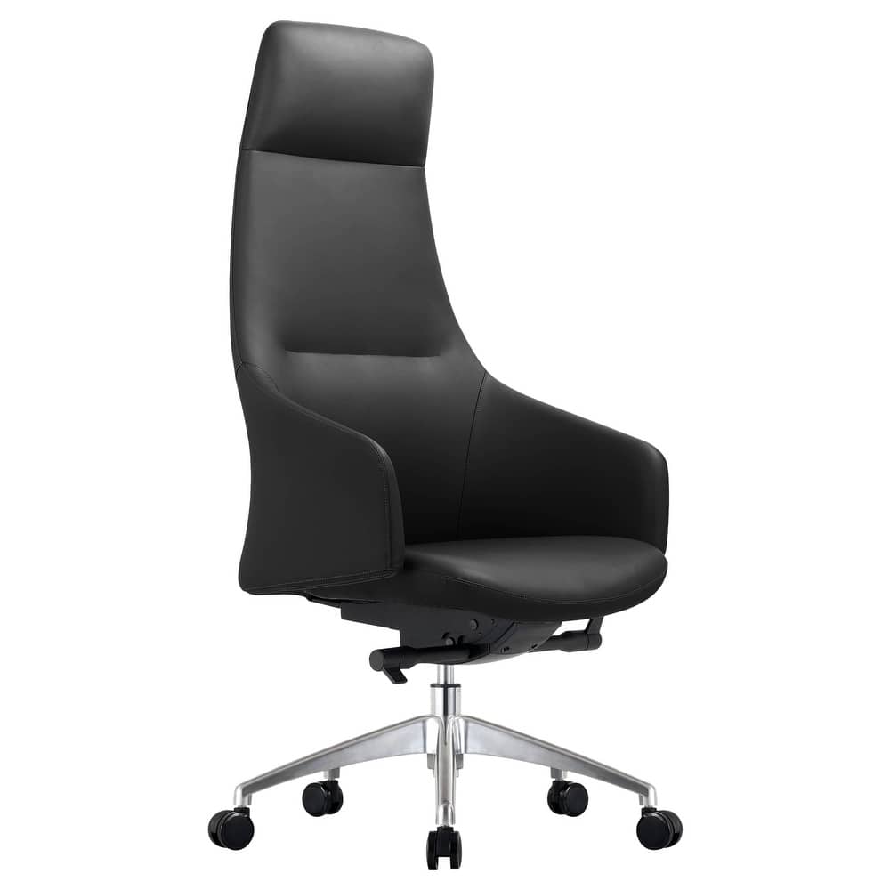 Celeste Ergonomic High Back Leather Executive Office Chair with Adjustable Height, Iron Frame, and Swivel Computer Task Chair