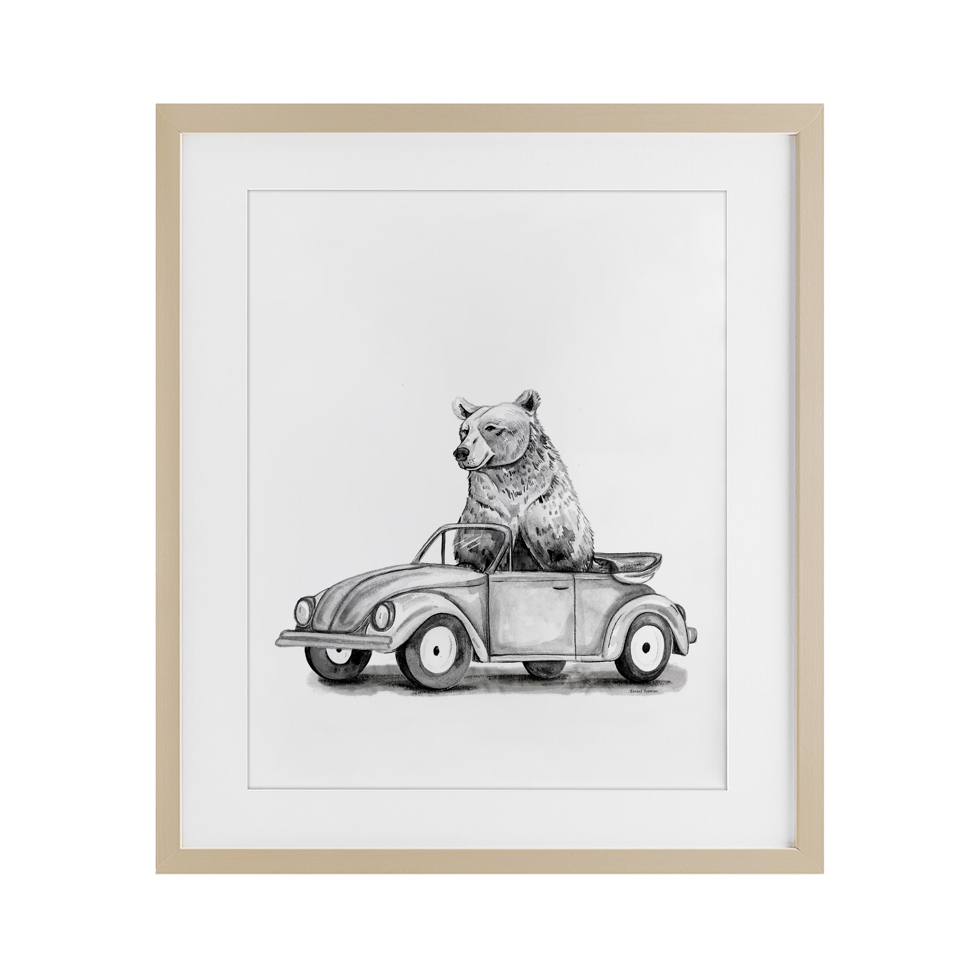 Bear in Vintage Vehicle Rachel Nieman