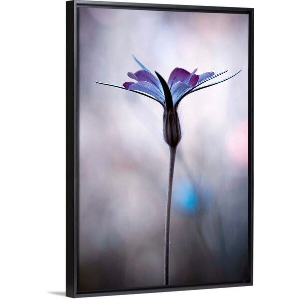 "Sylvidra" Black Float Frame Canvas Art