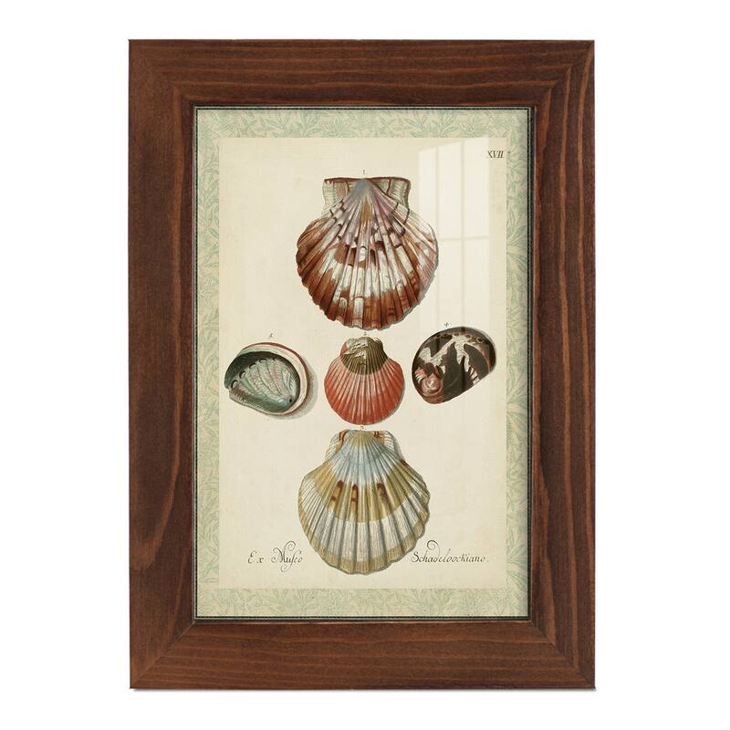 Bookplate Shells III -Framed Print w/glass-Cherry Red