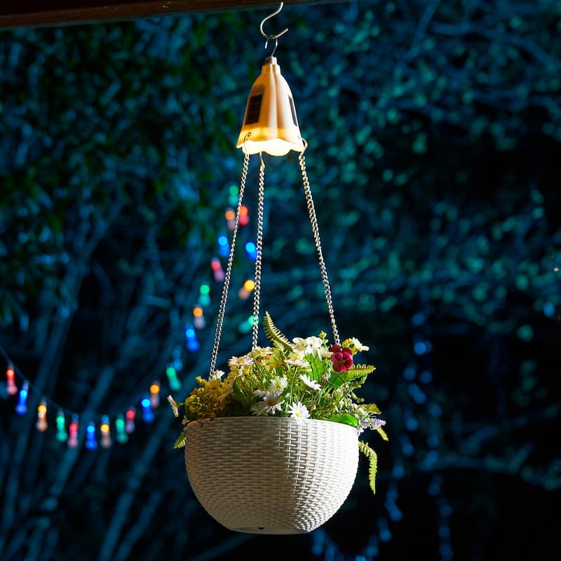 Baimuru 30-inch Height Solar Lighted Hanging Plastic Planter by Havenside Home