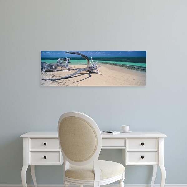 Easy Art Prints Panoramic Image 'Driftwood, Beach, Green Island, Great Barrier Reef, Queensland, Australia' Canvas Art