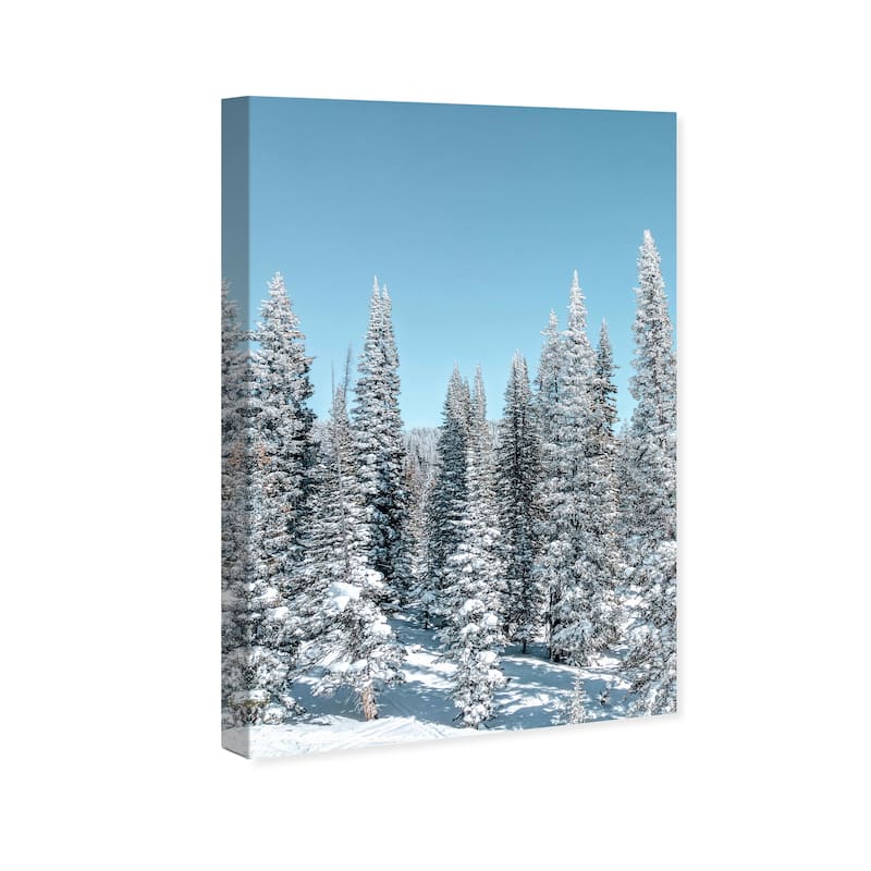 Wynwood Studio Canvas Floral and Botanical Its Cold Blue and Modern & Contemporary Wall Art Canvas Print