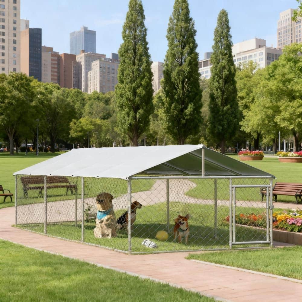 Large Outdoor Dog Kennel with Waterproof & UV-Resistant Roof