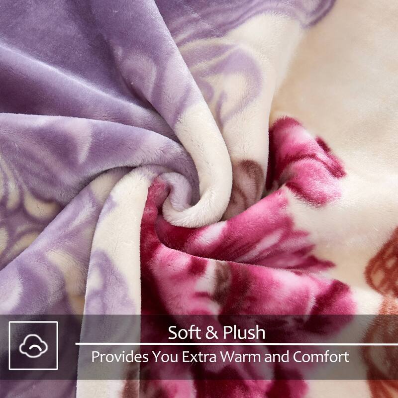 Raschel A&B Printed 2-ply Reversible Korean-style Plush Fleece Blanket