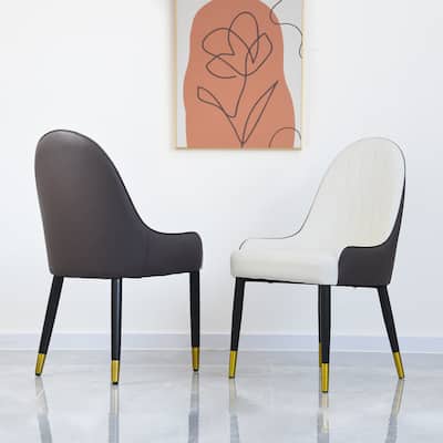Dining Chair Set Of 2