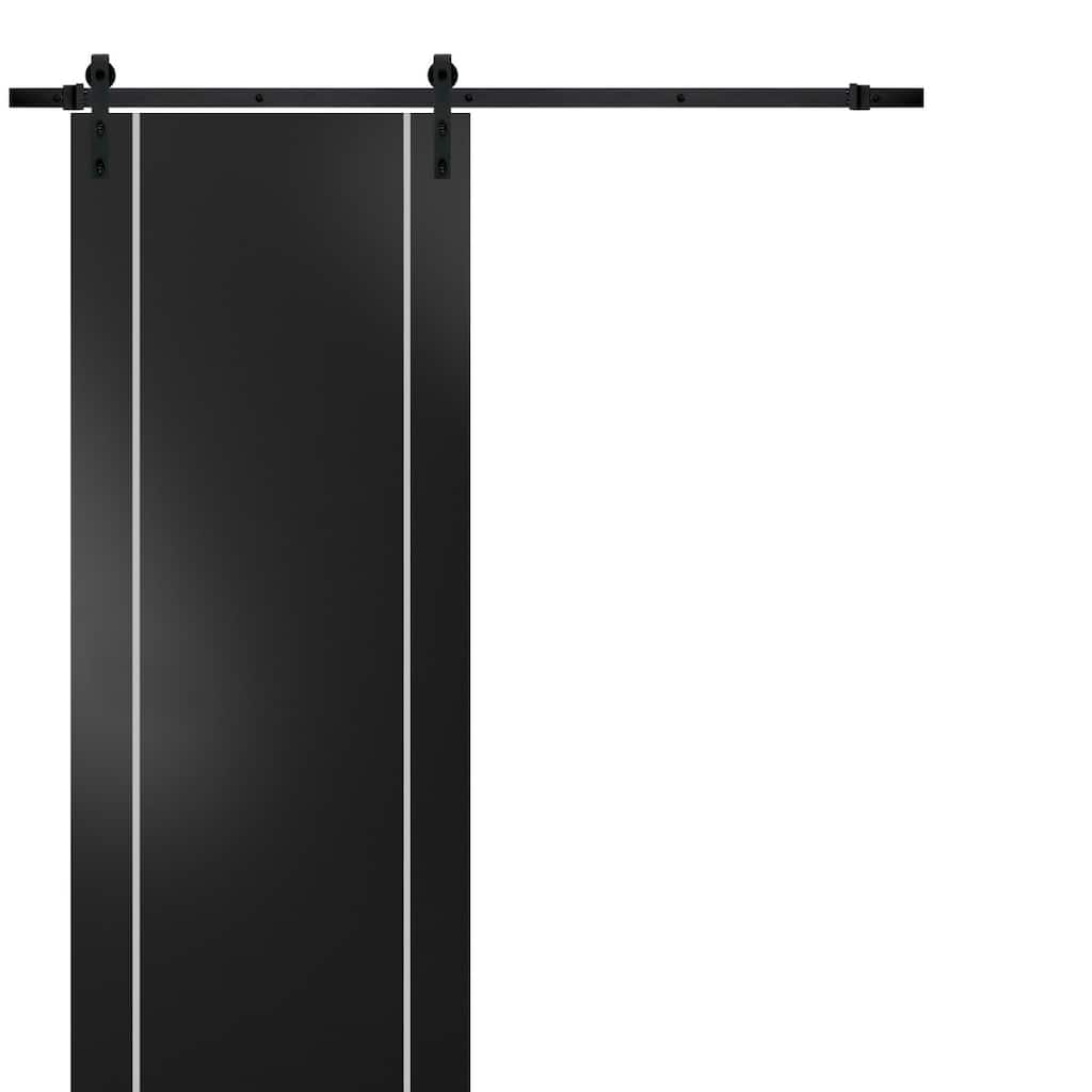 Sturdy Barn Door 36 x 80 Planum 0410 Matte Black with 6.6FT