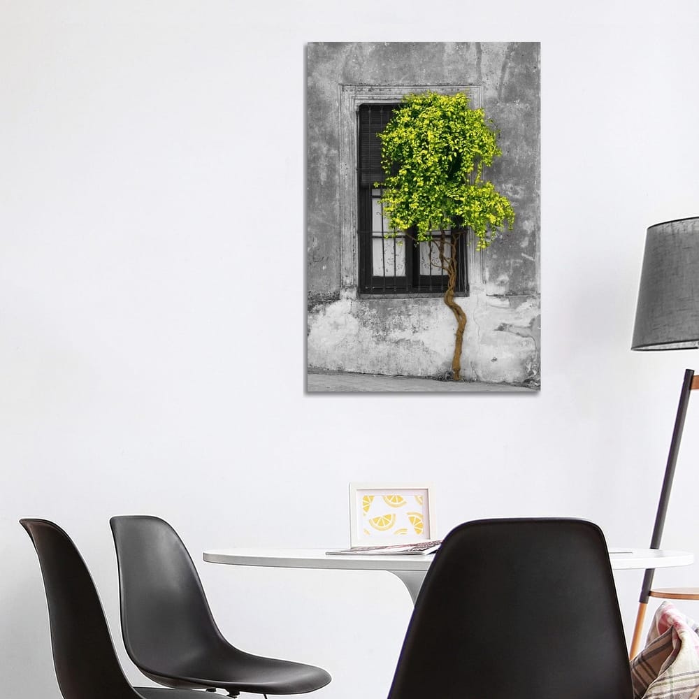 iCanvas "Tree in Front of Window Green Pop Color Pop" by Panoramic Images Canvas Print