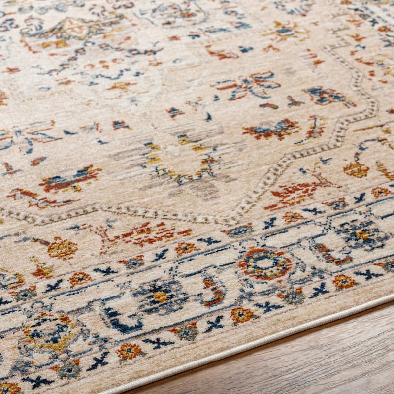 Niengold Traditional Medallion Area Rug