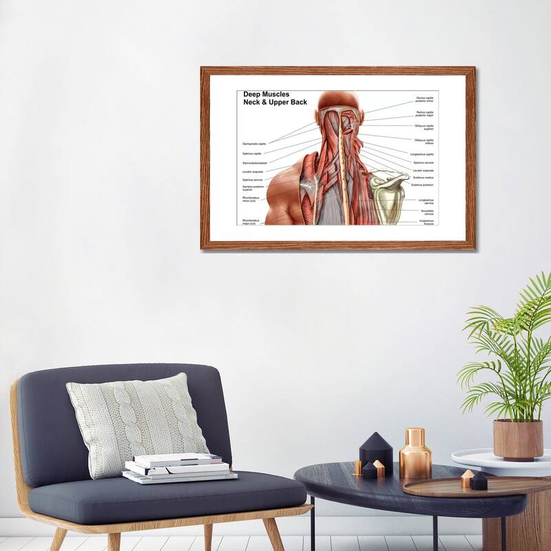iCanvas "Human Anatomy Showing Deep Muscles In The Neck And Upper Back" by Stocktrek Images
