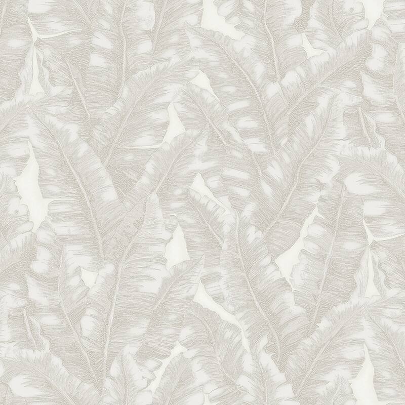 Botanical Exotic Plants Luxury Leaf Pattern Tropical Wallpaper