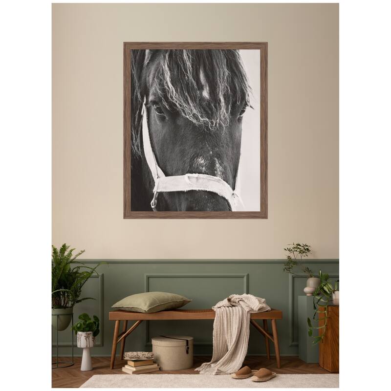 Kate and Laurel Black Horse by Emiko and Mark Franzen F2 Images Framed Wall Art Print