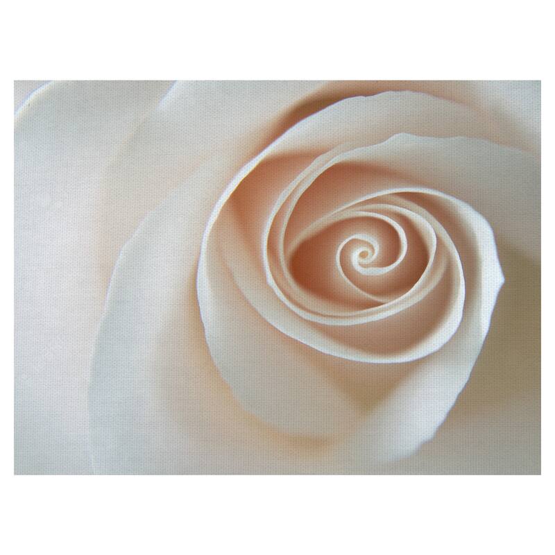 White Rose Swirl by Grand Image Canvas Art Print