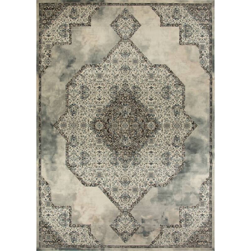 Anila Collection Transitional Oriental Area Rug - 7'10 X 10 - Grey/White/Blue