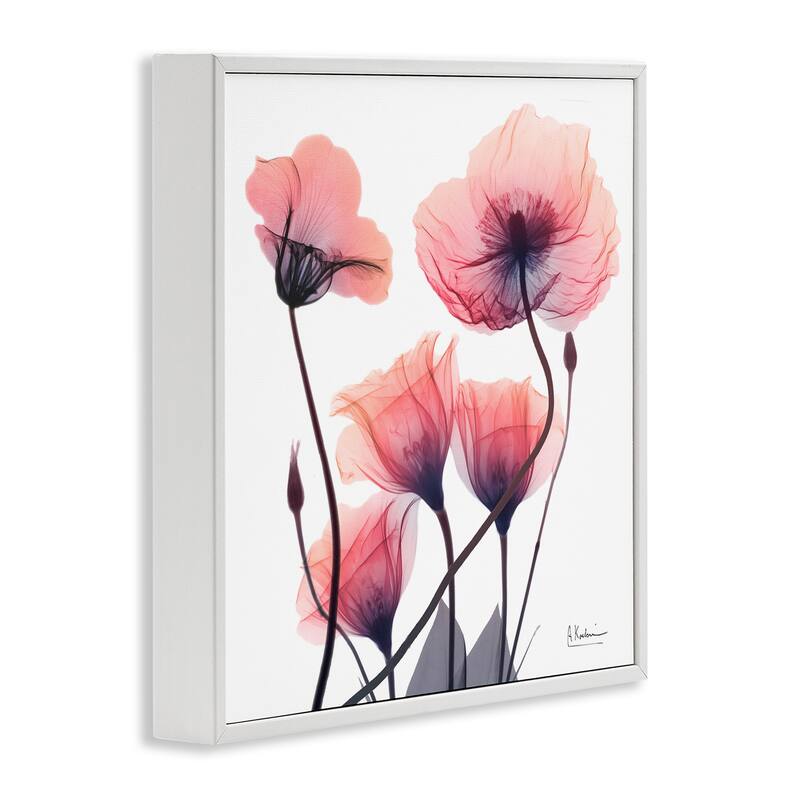 Stupell Elegant Modern Poppy Buds Framed Giclee Art Design By Albert Koetsier