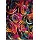 preview thumbnail 15 of 15, SAFAVIEH Fiesta Shag Racquel Rose Rug 5'1" x 7'6" - Fuchsia/Multi - Rectangle
