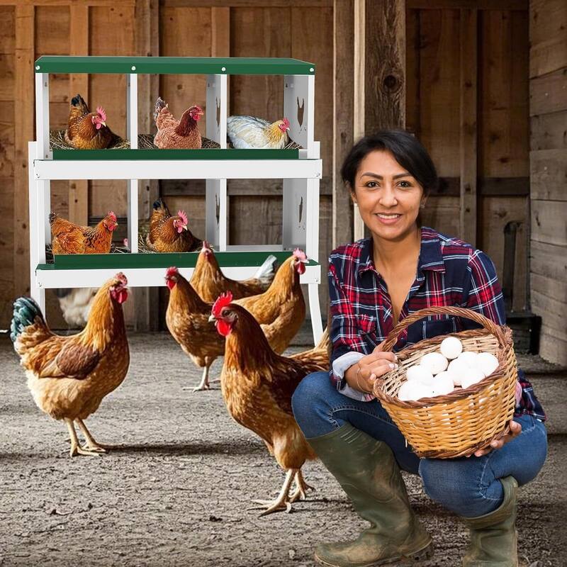 Chicken Nesting Box Nesting Boxes - Green 6-Hole  (with legs)