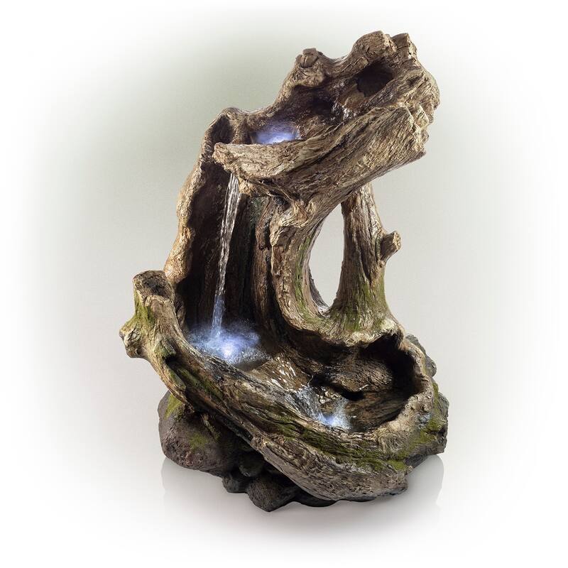 Curved Log Rainforest w/ LED light