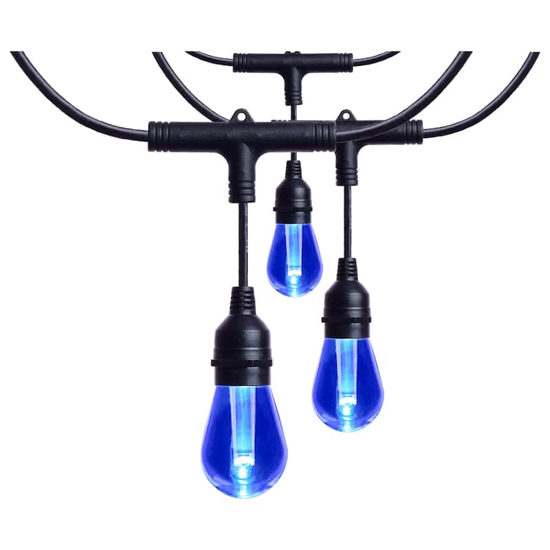 Starfish 24 Foot LED String Light 12-S14 Lamps IOT RGBTW Black 120 Volt