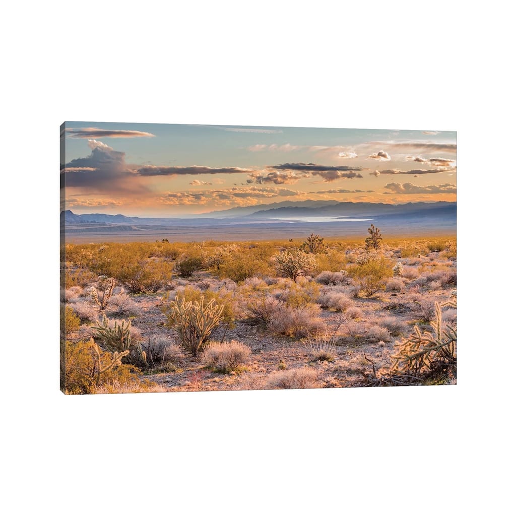 iCanvas "Desert, Lake Mead, Gold Butte National Monument, Nevada" by Jeff Foott Canvas Print