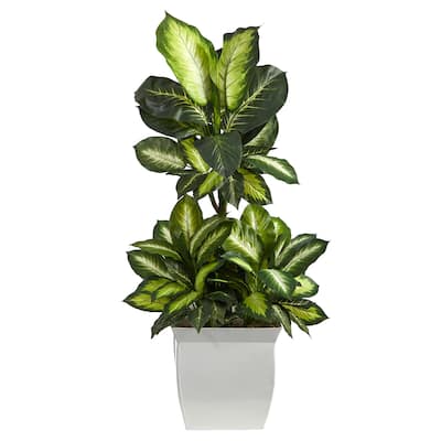 46" Golden Dieffenbachia Artificial Plant in White Metal Planter - 11.5"