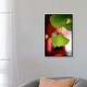 preview thumbnail 6 of 7, iCanvas "Goethes Favorite" by Philippe Sainte-Laudy Framed