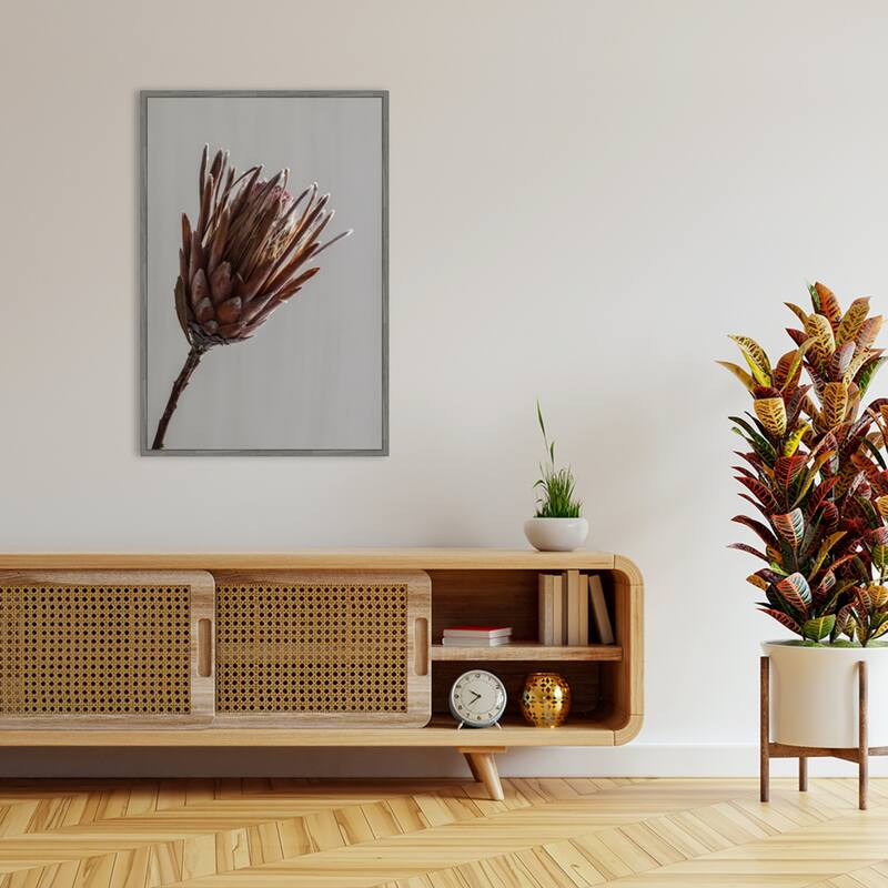 Momo by Shot by Clint Framed Canvas Wall Art Print