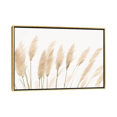iCanvas "Pampas" by Sisi & Seb Framed Canvas Print